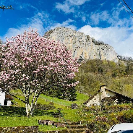 Superbe Villa Apaisante, Vue Sur La Loue Mouthier-Haute-Pierre 외부 사진